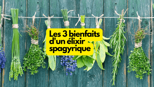 Les 3 bienfaits d'un élixir spagyrique