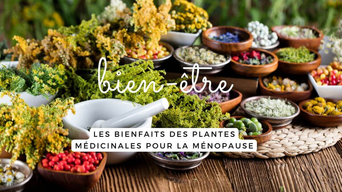 Les bienfaits des plantes médicinales pour la ménopause: des alliées précieuses au naturel