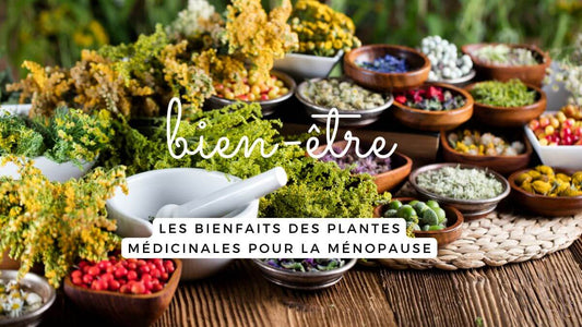 Les bienfaits des plantes médicinales pour la ménopause: des alliées précieuses au naturel