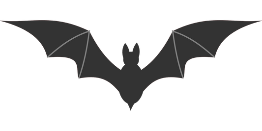 chauve-souris qui rentre dans la maison signification islam