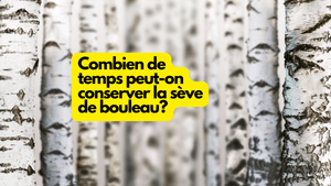 Combien de temps peut-on conserver la sève de bouleau?