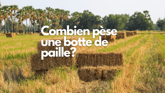 Combien pèse une botte de paille?