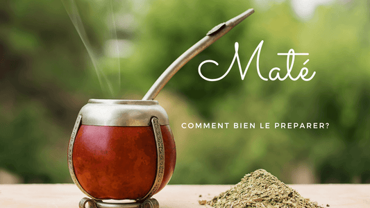 Comment bien préparer le maté ?