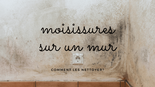 Comment nettoyer les tâches de moisissure sur un mur?