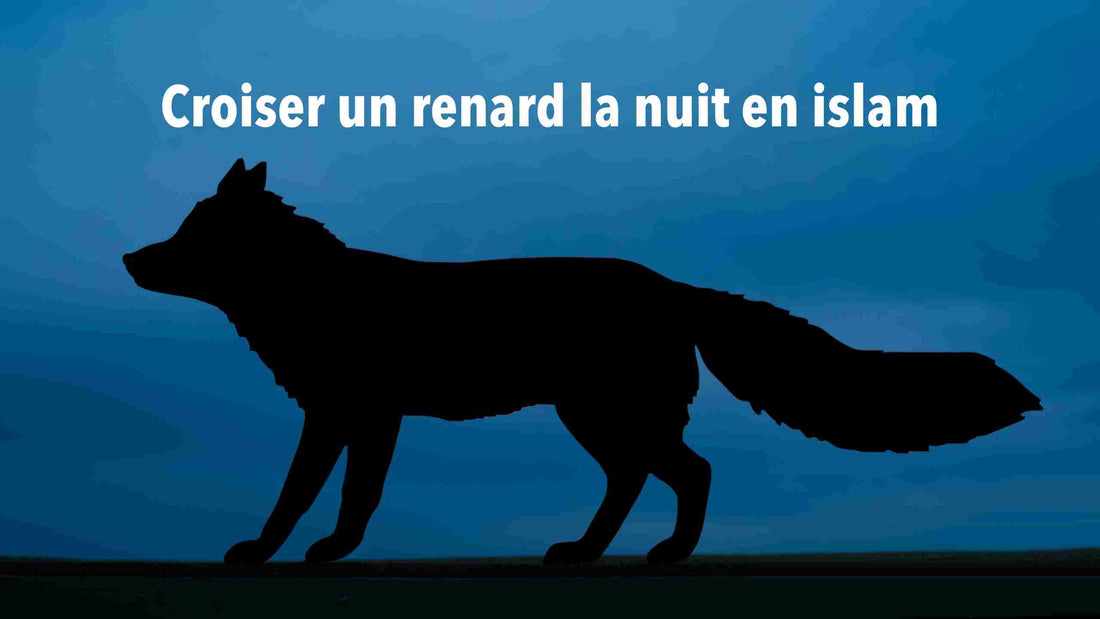croiser un renard la nuit signification islam
