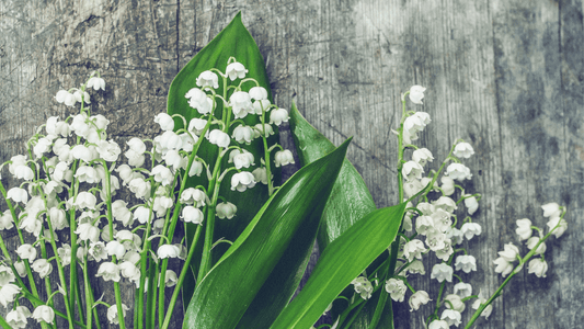 fete du muguet 2023