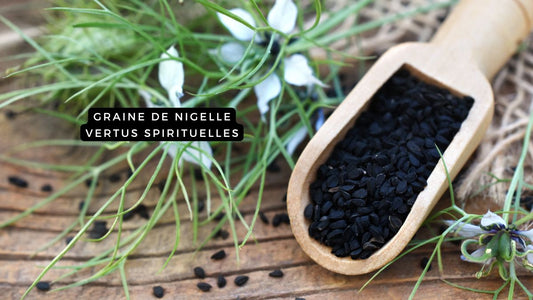 Graine de nigelle vertus spirituelles