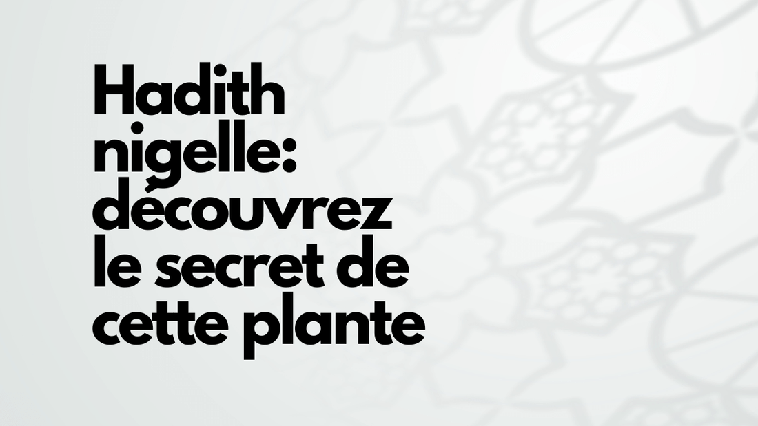 Hadith nigelle: découvrez le secret de cette plante