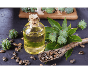 Quels sont les bienfaits de l'huile de carapate ?