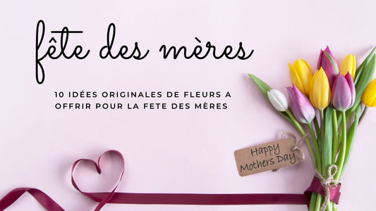 10 idées originales de fleurs a offrir pour la fete des Mères 2026
