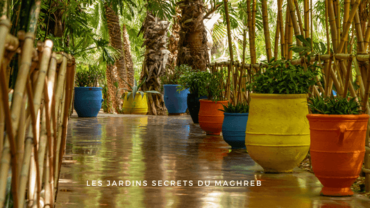 Les jardins secrets du Maghreb : à la découverte de paradis cachés