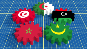 Quelle est l'origine de Karima Brikh?