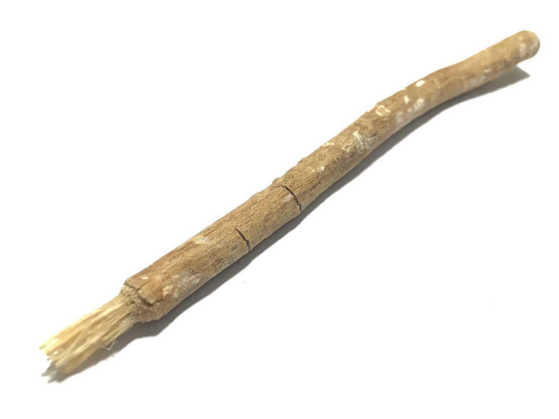 les 100 bienfaits du siwak
