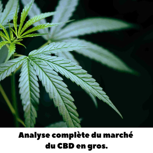 Les tendances du marché du CBD en gros et comment en profiter