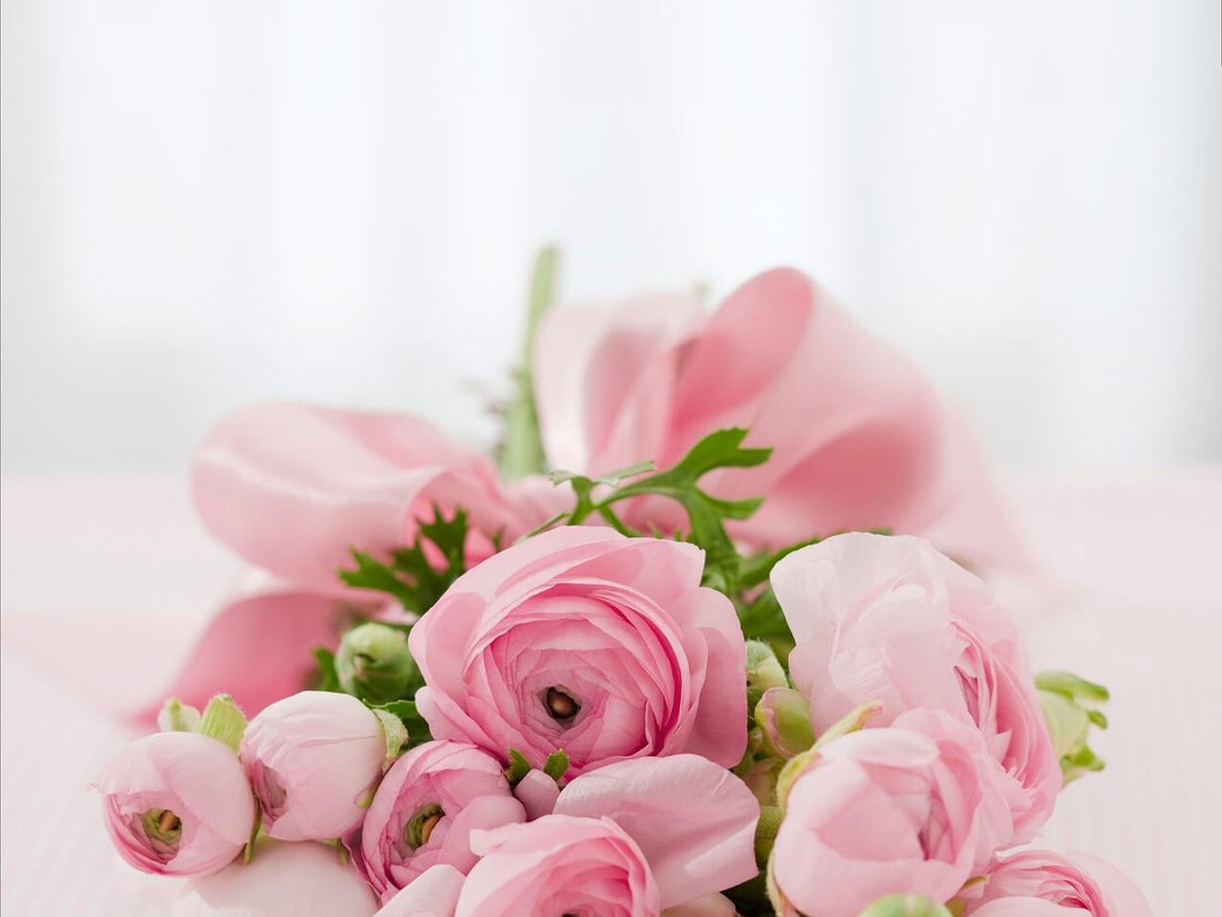 noce de rose