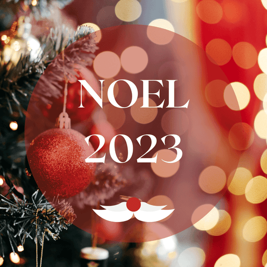 noel 2023