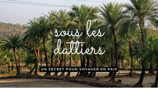 Paysage de palmiers-dattiers au Maghreb, symbole de voyage et de sérénité