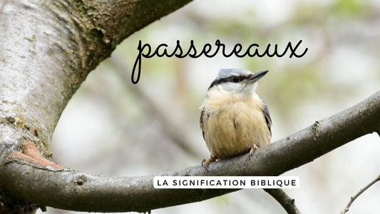 La signification biblique des passereaux