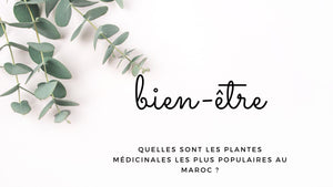 Quelles sont les plantes médicinales les plus populaires au Maroc ?