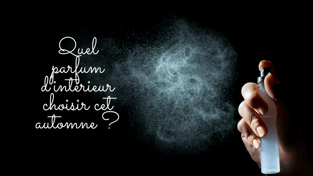 Quel parfum d'intérieur choisir cet automne 2024 ?