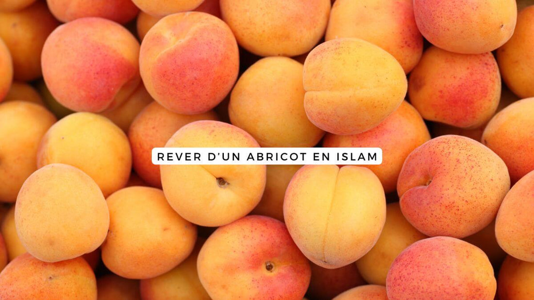 Rêver d'un abricot islam signification