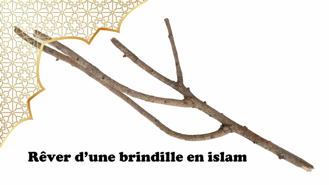 Rêver d'une brindille en islam