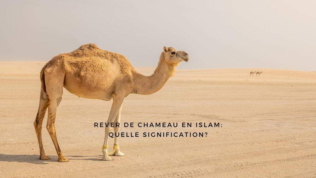 Rêver de chameau en islam: quelle signification?