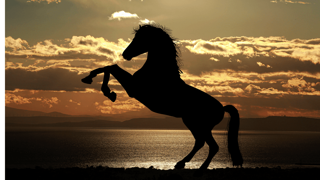 Rêver de cheval islam