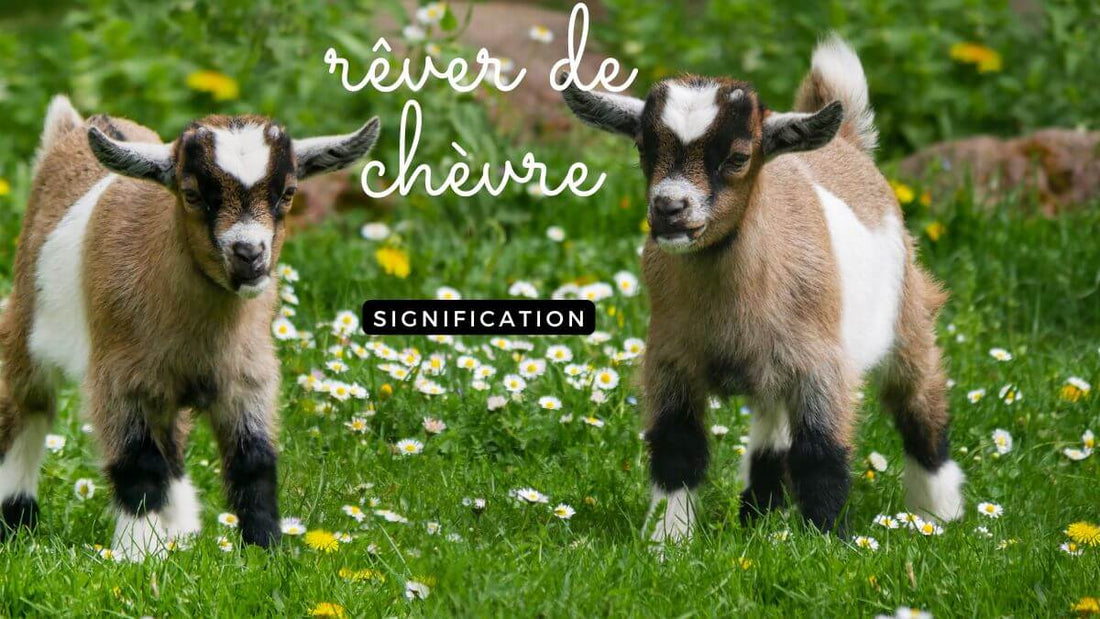Rêver de chèvre islam: quelle signification?
