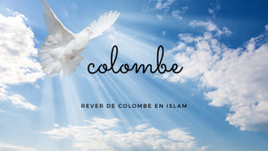 Rêver de colombe en islam: quelle signification?