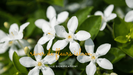 Rêver de fleurs islam signification