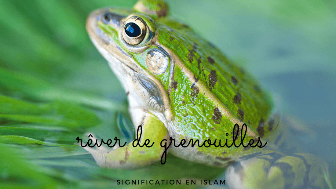 Rêver de grenouilles Islam: signification et interprétation