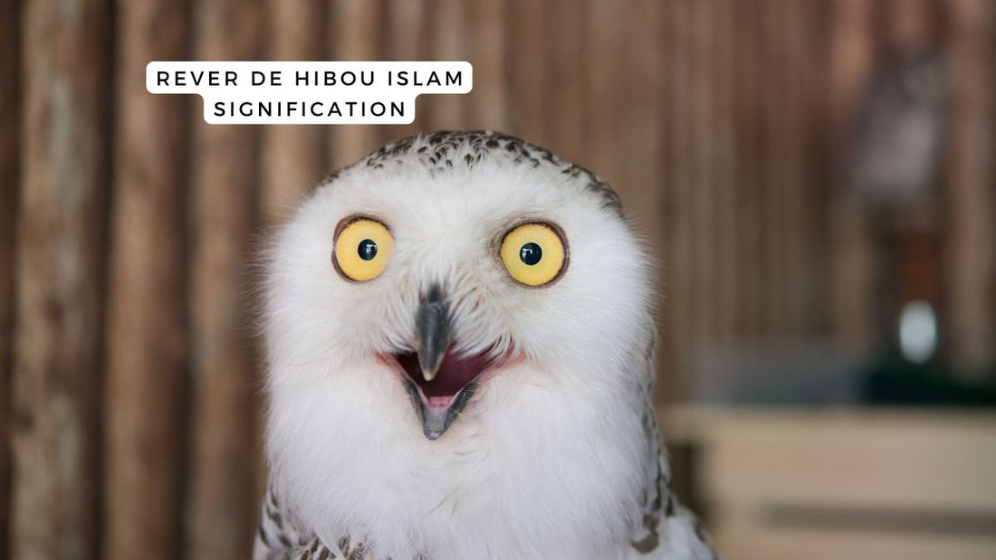 Rêver de hibou islam: quelle signification?