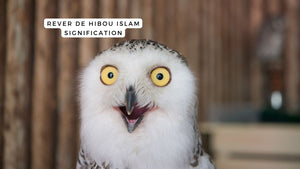 Rêver de hibou islam: quelle signification?