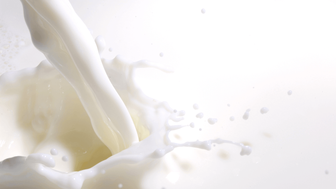 rever de lait en islam