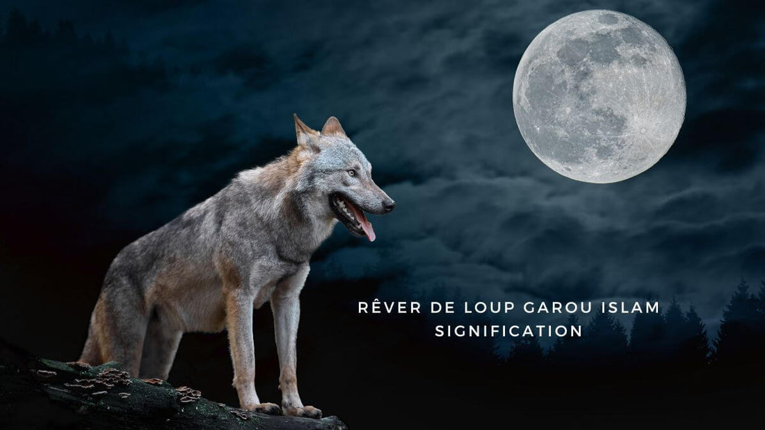 Rêver de loup garou islam signification