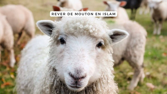 Rêver de mouton en Islam: quelle signification?