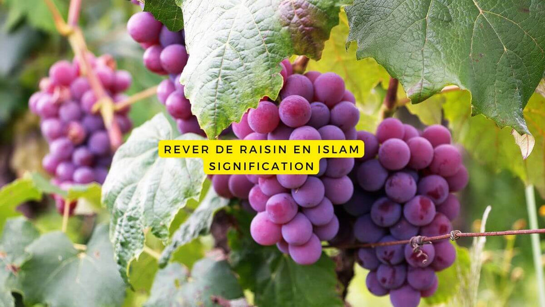 Rêver de raisins en islam: quelle signification?