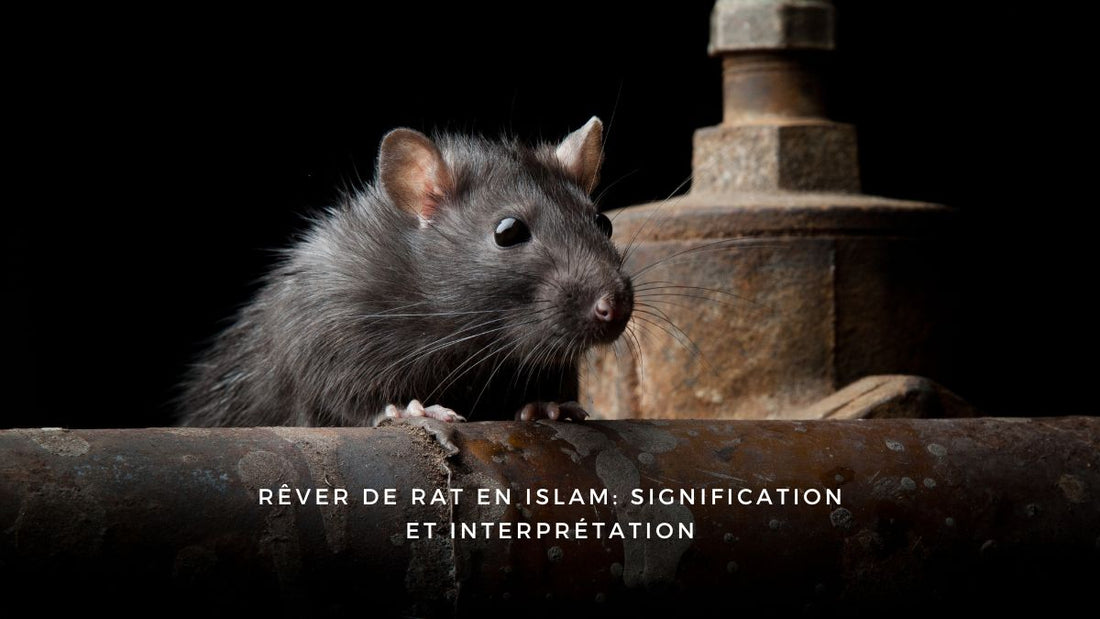 Rêver de rat en islam: signification et interprétation
