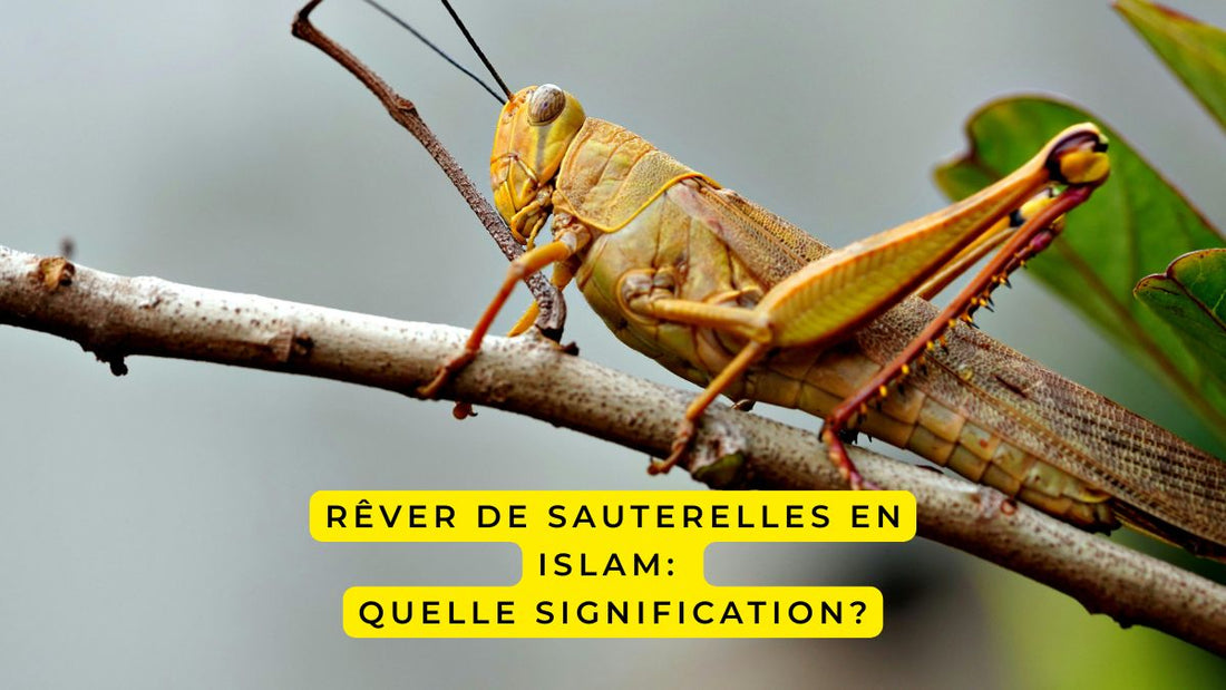 Rêver de sauterelles en Islam: quelle signification?