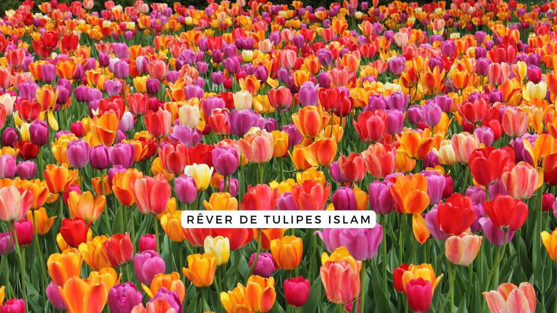 Rêver de tulipes islam