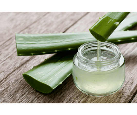 Pourquoi des savons à l'aloe vera?