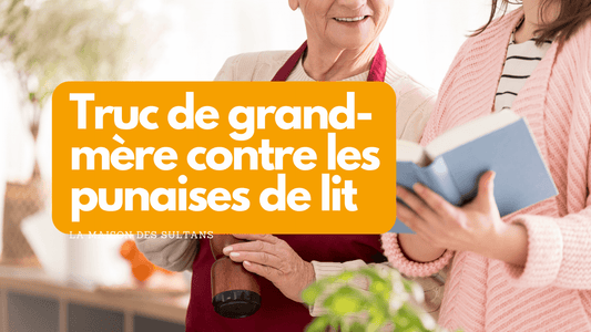 Truc de grand mère contre les punaises de lit